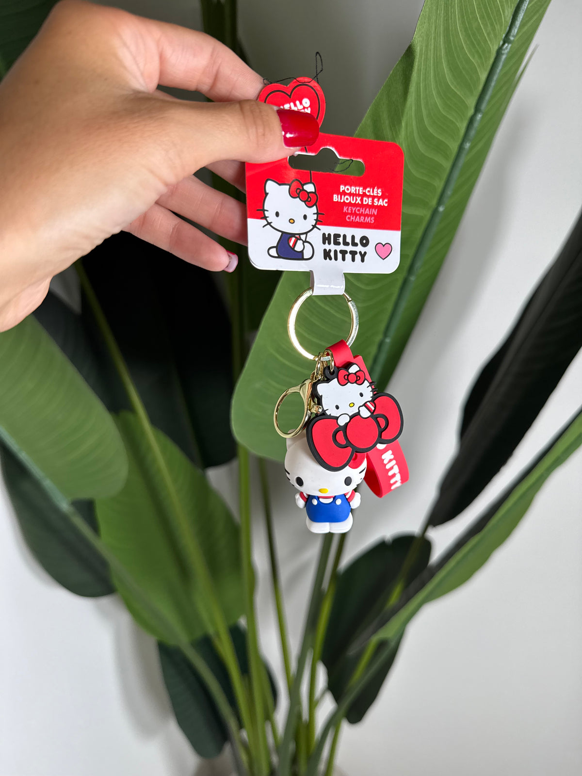 CHARM HELLO KITTY✨